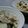 emakatu's cooksnap of when they made 胡麻たっぷり☆　　れんこんマヨサラダ.