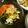 クックあこ's cooksnap of when they made ☆きゅうり＆ササミ＆くらげの中華サラダ☆.