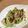 ちびた777's cooksnap of when they made ヒロッコの和え物.