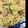 Takamemo's cooksnap of when they made ポールウインナーで焼き飯.