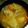 ammy2001's cooksnap of when they made 野菜たっぷりの豚汁.