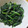 daikanon's cooksnap of when they made ほうれん草の胡麻和え.