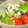がしこだお's cooksnap of when they made ささみと三つ葉のわさびマヨ和え.