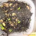 カニーヘン's cooksnap of when they made もう一品☆油揚げとひじきの炒め煮.