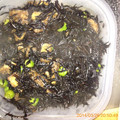 カニーヘン's cooksnap of when they made もう一品☆油揚げとひじきの炒め煮.