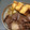 あざらしの赤ちゃん's cooksnap of when they made すき焼き風☆牛肉のごった煮(^^♪.