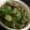 吹田のちえこ's cooksnap of when they made ☆簡単♪ピーマンと椎茸の煮浸し☆.