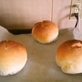 きいろピーマン's cooksnap of when they made ＨＢで作る簡単で本格的なライ麦パン.