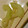 MMまどか's cooksnap of when they made 簡単☆セロリの中華風ピクルス.