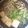 華銀ママ's cooksnap of when they made うちの肉豆腐はごはんがすすんで困る.