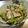 ゆりYO船長's cooksnap of when they made 鶏ハムでマヨポンサラダ.