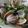 hamutaro66's cooksnap of when they made ❀あさりとクレソンのワイン蒸し❀.