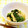 ＊＊rose＊＊'s cooksnap of when they made ほうれん草のこっくり煮浸し♪.