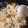 tadari's cooksnap of when they made 簡単♪しめじの炊き込みご飯.