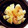 りけじのあーちゃん's cooksnap of when they made 簡単！新玉ねぎの花蒸し.
