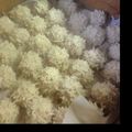 あやちゃんぶんちゃん's cooksnap of when they made もち米団子の蒸しもの（珍珠丸子）.