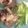 gyogyoum's cooksnap of when they made ★サザエのお刺身★.