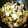 じゃがもけ's cooksnap of when they made 簡単！豚肉とキャベツの蒸し焼き☆.
