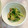 xxひよこまめxx's cooksnap of when they made 簡単！レンジだけ！新玉とカイワレのお浸し.