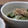 ayaci's cooksnap of when they made いんげんと干しえびのゴマ和え.