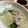sirokuro's cooksnap of when they made 豚バラと白菜の簡単！だしの素鍋.