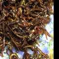 のっぽさんと仲間たち's cooksnap of when they made ひよこさんちの「いかなごの釘煮」.