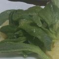 くくぱこ's cooksnap of when they made アイスプラント♡ハニーレモンドレッシング.