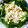 ちょこ花嫁修業ちう's cooksnap of when they made アボカドと玉ねぎのマヨ和え.