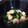 ナナ伽羅's cooksnap of when they made 中華風☆エビとワカメの和え物.