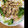 もずく777's cooksnap of when they made 鶏とキャベツの中華だれ.