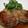 るーそら's cooksnap of when they made さぶ餅さんのみぞれ煮で♔しいたけの肉詰め.