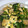 しゅんママ1010's cooksnap of when they made 菜の花＆油揚げの卵とじ.