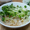 灰色さくら's cooksnap of when they made もやしと貝割れのごまだれ和え.