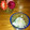 ぷい～ン's cooksnap of when they made 菜の花と鶏の粒マスタードマヨ和え.
