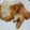 ﾀﾂちん's cooksnap of when they made かれいのムニエル.