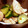 あずきぱんな's cooksnap of when they made 鶏ささみときゅうりの梅肉和え.