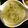 さぁ★たぁ★'s cooksnap of when they made 新玉ねぎ・かぶ・きのこの具だくさん味噌汁.