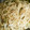 もりのりころ's cooksnap of when they made わが家の焼きうどん☆しょうゆ風味.