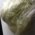 ４番目's cooksnap of when they made レタスを長持ちさせる方法シャキシャキ.