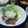 巻物限定's cooksnap of when they made 余った唐揚げさっぱりリメイク〜♪.