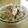 ぐーたらレシピ研究所's cooksnap of when they made こくたっぷり☆きのこの炊き込みご飯.