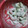 mw854032's cooksnap of when they made えびとアボカドのわさびマヨ和え.