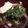 まるあいさん's cooksnap of when they made お豆腐で満足感♪「すき焼き風 肉豆腐」.