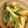 urachiyan's cooksnap of when they made わけぎの和え物.