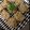 ポテうさ's cooksnap of when they made ママの味 シュウマイ.
