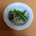 さおにゃんこ✨'s cooksnap of when they made もやしと菜の花のさっぱり和え❁.