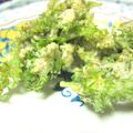 みせす☆まあさ's cooksnap of when they made 卵を使わない人参の葉の天ぷら　ｂｙ５号.