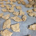 suzugumi's cooksnap of when they made シンプル簡単★基本の犬クッキー.