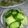 abumix's cooksnap of when they made 野菜の即席漬けショウガ風味.