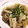 ＊＊ココア＊＊'s cooksnap of when they made 鶏のゴマてり炒め♪.